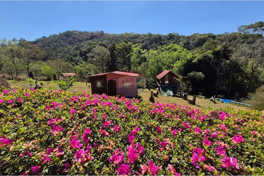 Chácara / Sítio / Fazenda - Venda - Ibiúna , São Paulo - 34.jpeg - 631331004-49