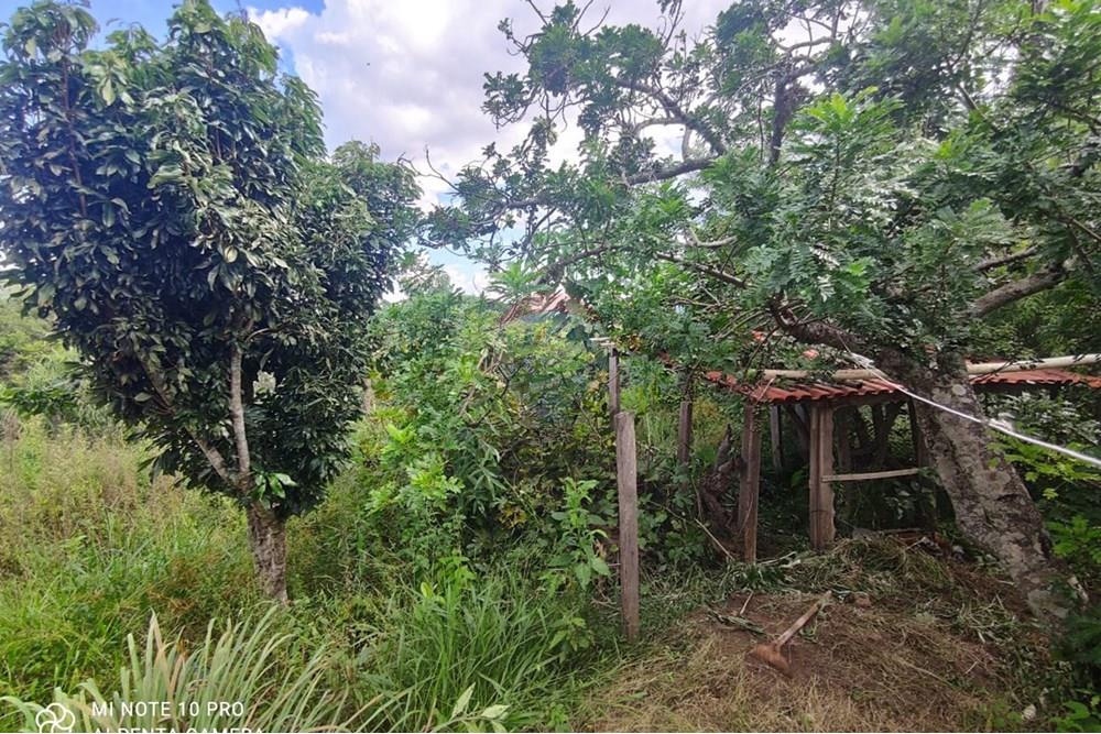 Chácara / Sítio / Fazenda - Venda - Toledo , Minas Gerais - WhatsApp Image 2025-02-28 at 19.58.22 (1).jpeg - 630251077-56