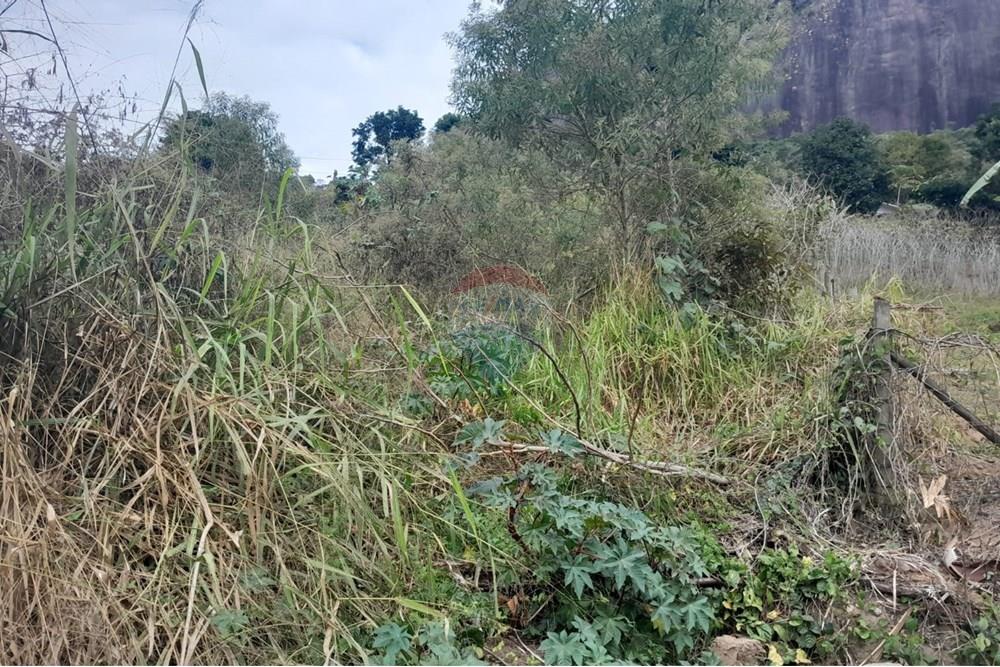 Terreno - Venda - Bom Jardim , Rio de Janeiro - WhatsApp Image 2025-07-12 at 11.28.42 (2).jpeg - 630171007-54
