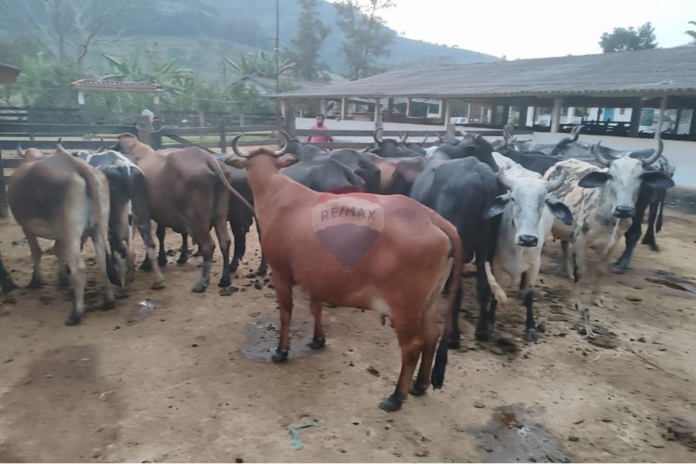 Chácara / Sítio / Fazenda - Venda - Duas Barras , Rio de Janeiro - 27.jpg - 630171001-39