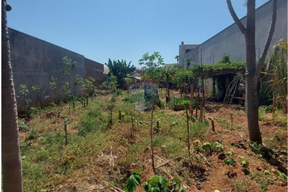 Terreno - Venda - Presidente Prudente , São Paulo - WhatsApp Image 2025-10-02 at 13.02.26 (2).jpeg - 630861066-6