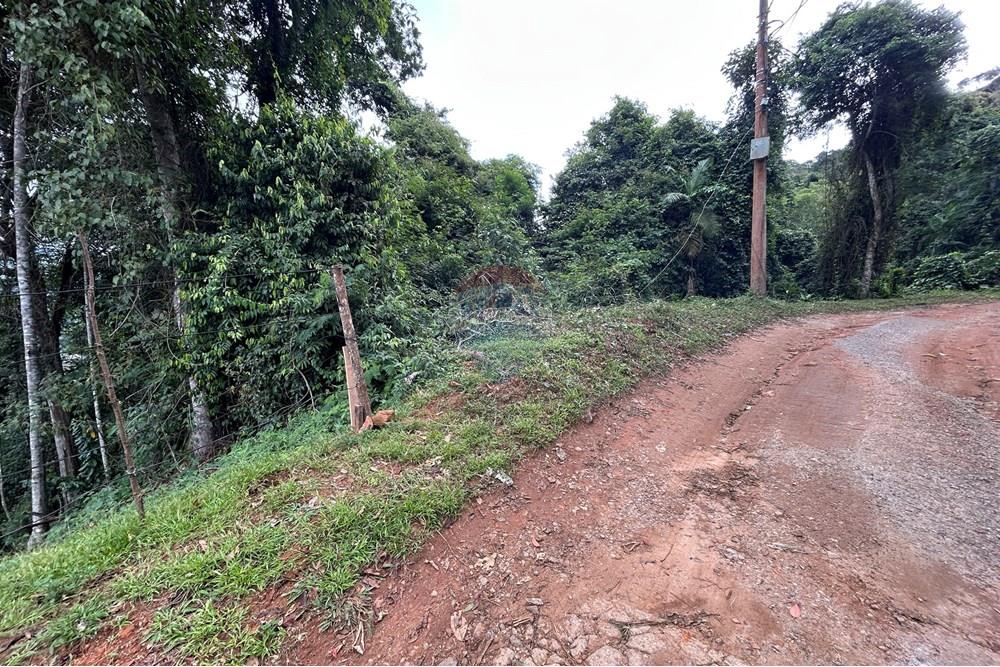 Terreno - Venda - Nova Friburgo , Rio de Janeiro - IMG_0270.JPG - 630551085-21