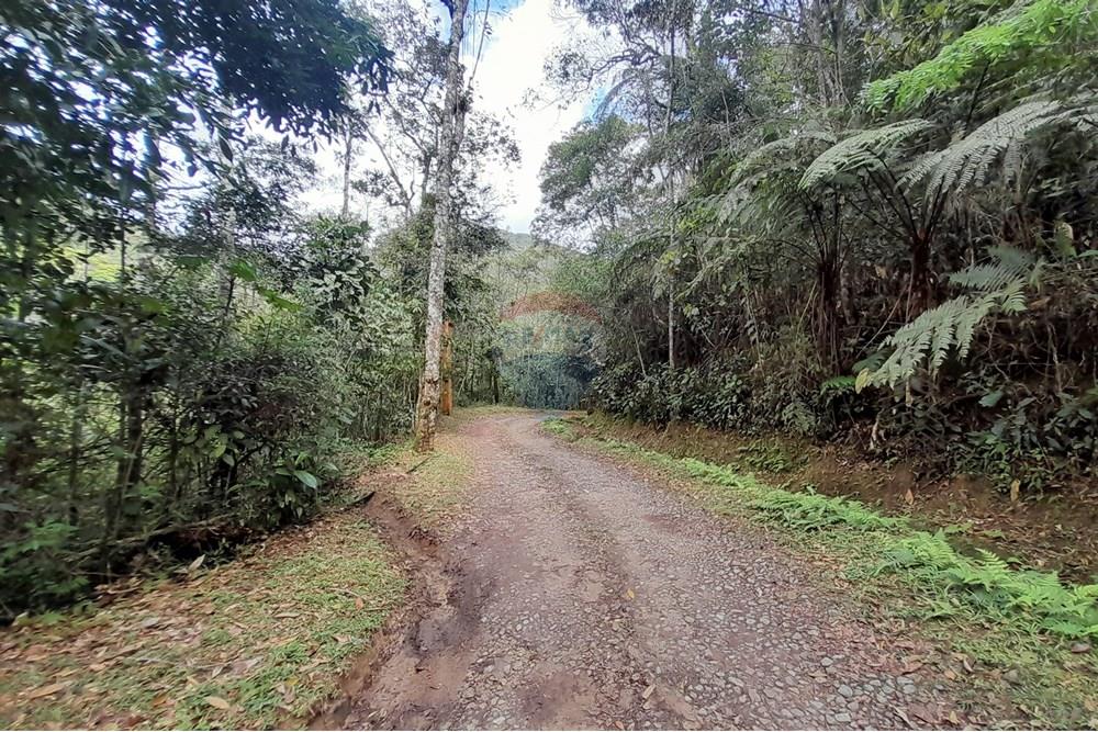 Terreno - Venda - Teresópolis , Rio de Janeiro - 20251012_093109.jpg - 630191084-20