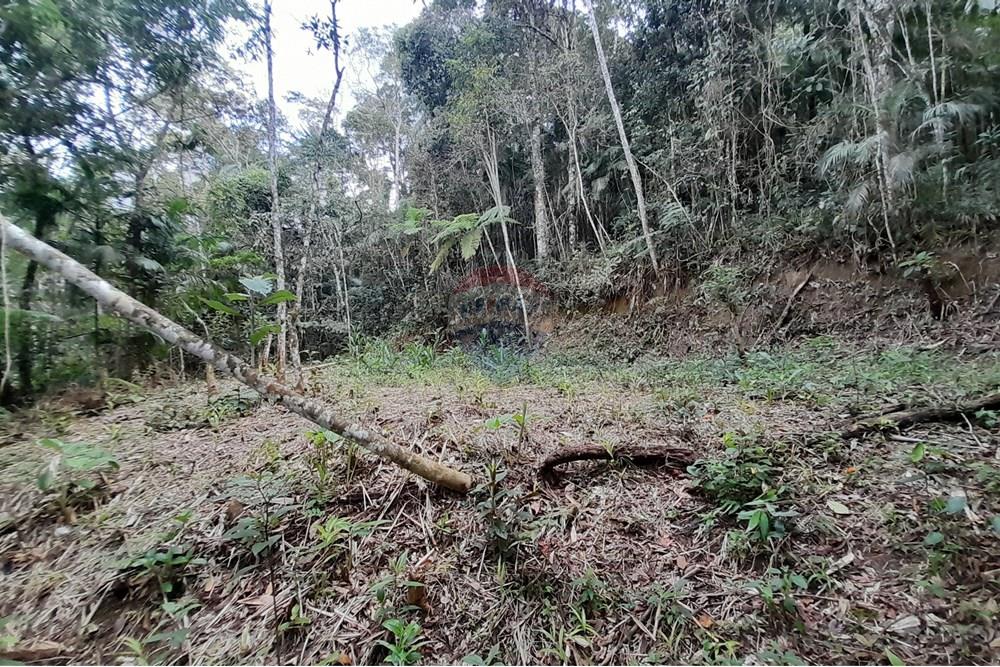 Terreno - Venda - Teresópolis , Rio de Janeiro - 20251012_092556.jpg - 630191084-20