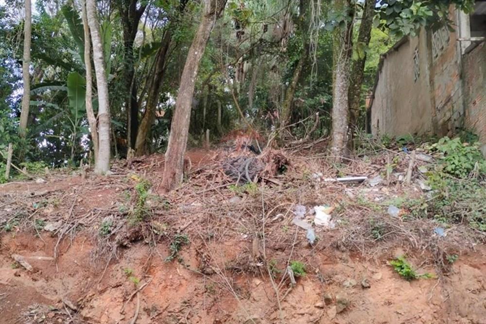 Terreno - Venda - Mairiporã , São Paulo - WhatsApp Image 2025-10-09 at 10.54.10.jpeg - 631361059-8