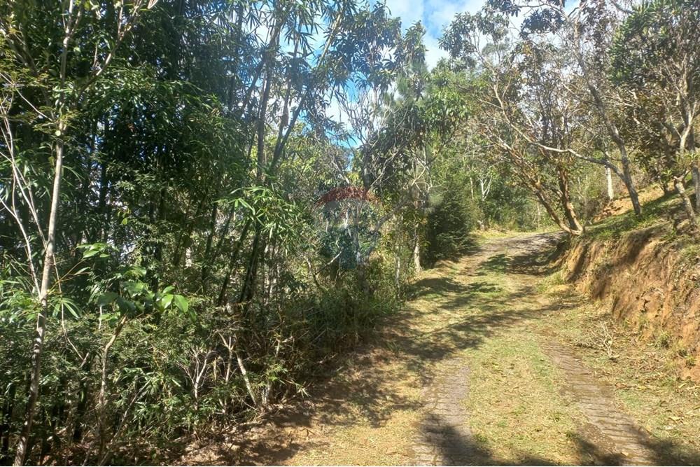 Chácara / Sítio / Fazenda - Venda - Nova Friburgo , Rio de Janeiro - 43b6f711-7209-49bd-9939-aa4baca3a344.jpg - 630551037-31