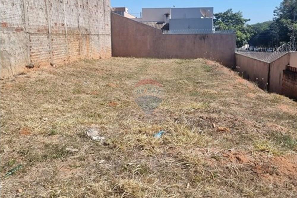 Terreno - Venda - Promissão , São Paulo - WhatsApp Image 2025-08-25 at 12.59.40.jpeg - 630511034-16