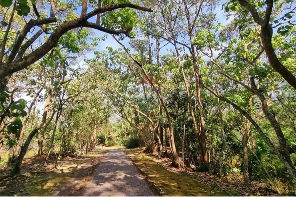 Terreno - Venda - Mogi das Cruzes , São Paulo - WhatsApp Image 2025-06-02 at 01.27.31.jpeg - 630281041-83