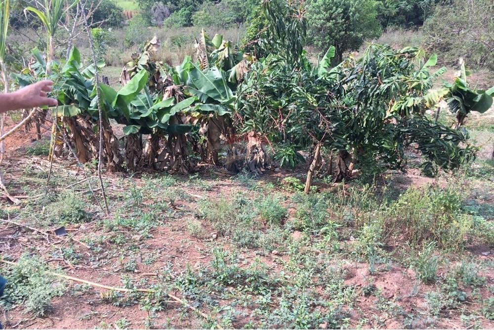 Terreno - Venda - Cafelândia , São Paulo - WhatsApp Image 2025-07-07 at 12.47.33 (1).jpeg - 631011016-72