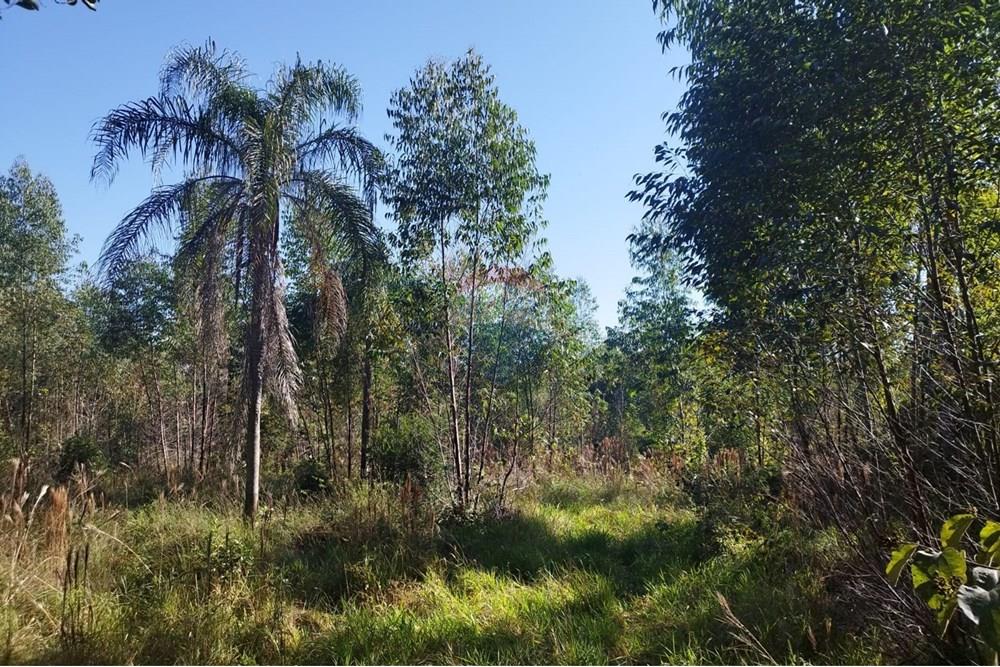 Terreno - Venda - Cabreúva , São Paulo - Terreno Maria Tereza 6.jpg - 630531013-11