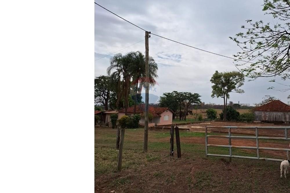 Chácara / Sítio / Fazenda - Venda - Fernandópolis , São Paulo - WhatsApp Image 2024-10-21 at 10.36.48.jpeg - 630541038-16