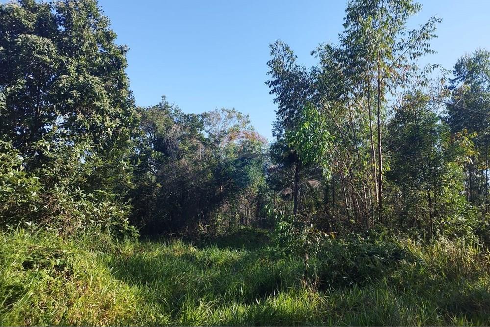 Terreno - Venda - Cabreúva , São Paulo - Terreno Maria Tereza 13.jpg - 630531013-11