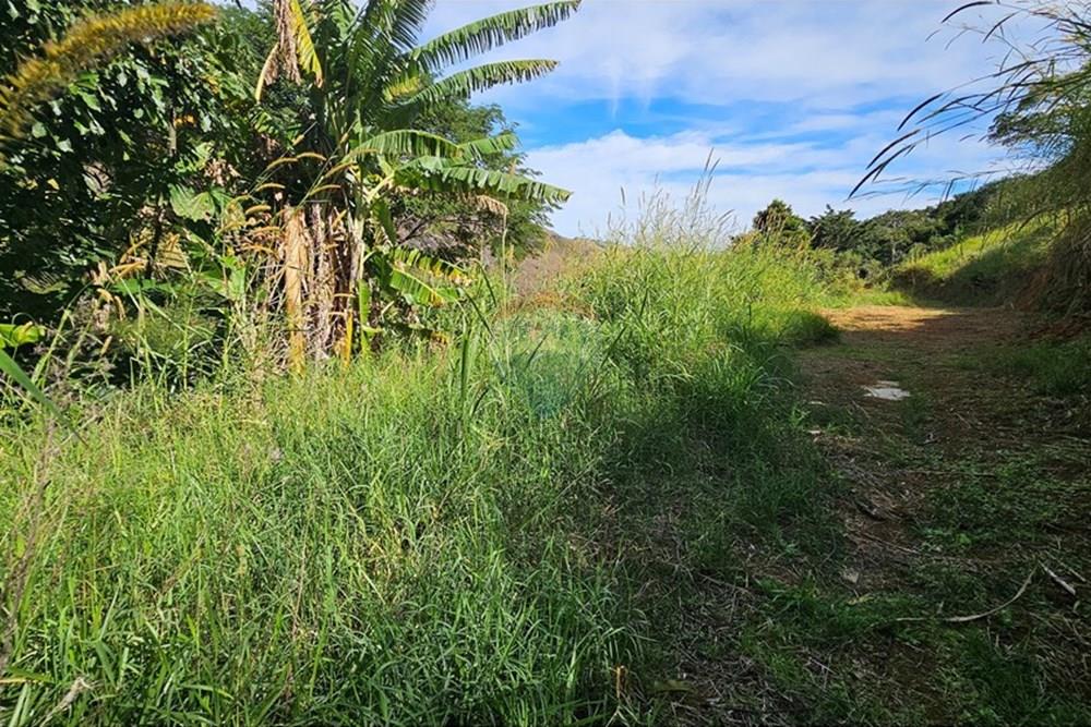 Terreno - Venda - Petrópolis , Rio de Janeiro - 20250623_112234.jpg - 631611012-16