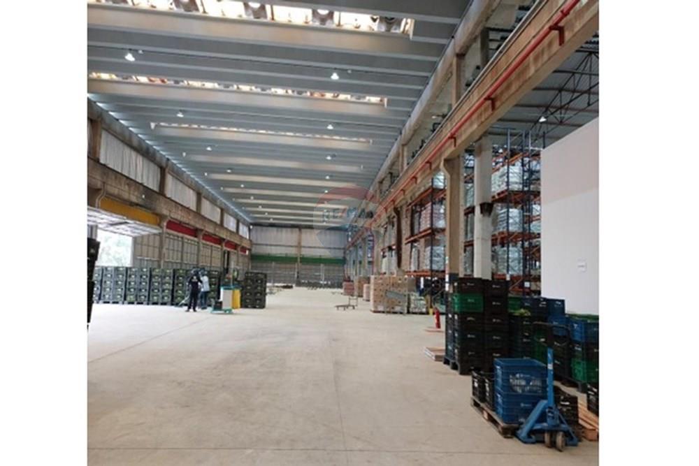 Galpão - Alugar - Guarulhos , São Paulo - Imagem7.jpg - 631491001-117