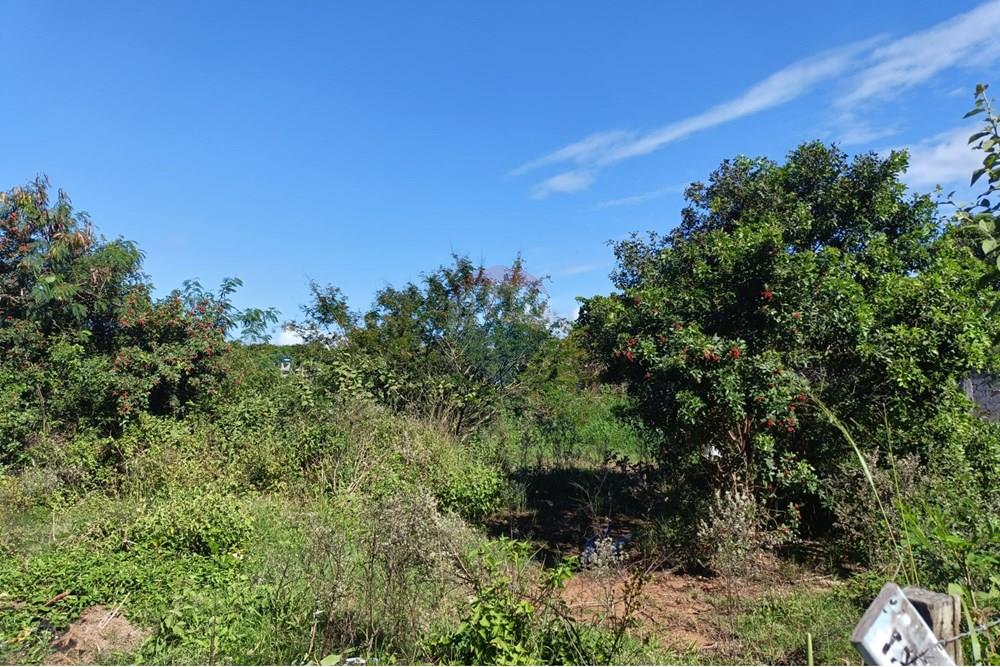 Terreno - Venda - Cabo Frio , Rio de Janeiro - 1000874616.jpg - 630391089-23