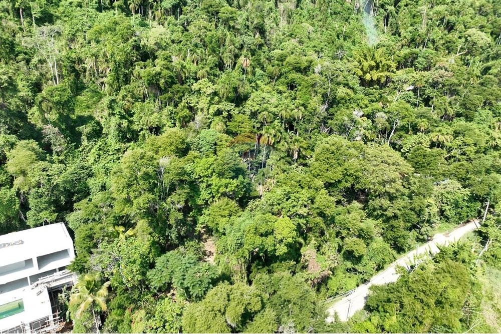 Terreno - Venda - Ilhabela , São Paulo - IMG-20250604-WA0016.jpg - 630951011-24