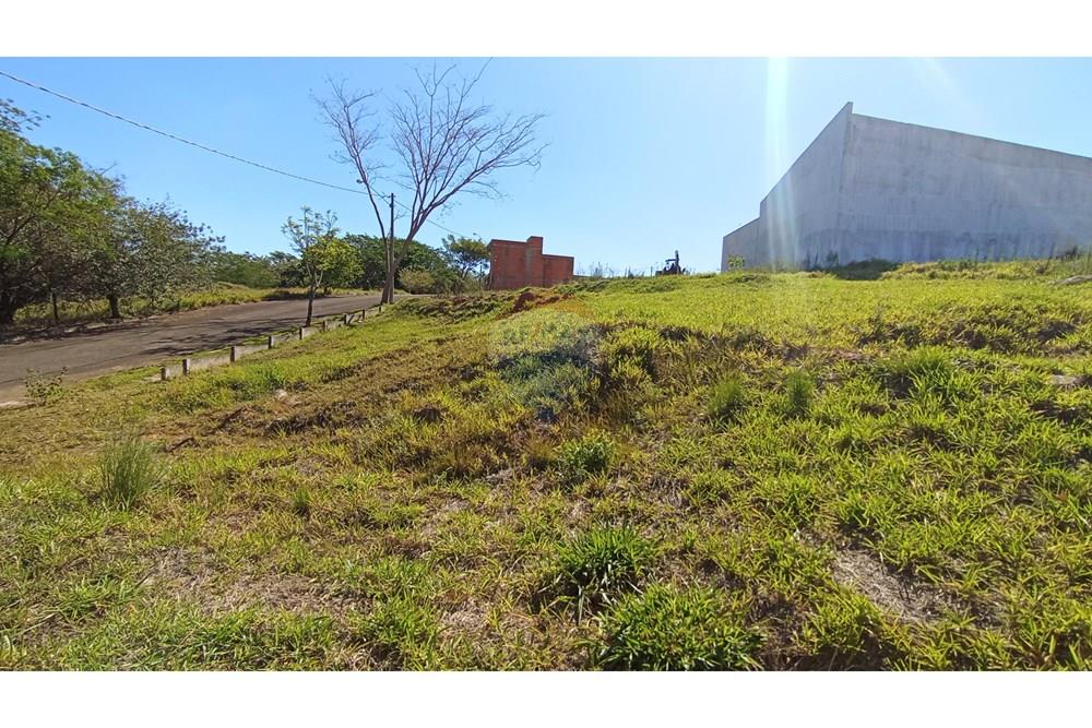 Terreno - Venda - Botucatu , São Paulo - 6-IMG_20251022_145841.jpg - Quintal - 630481103-132