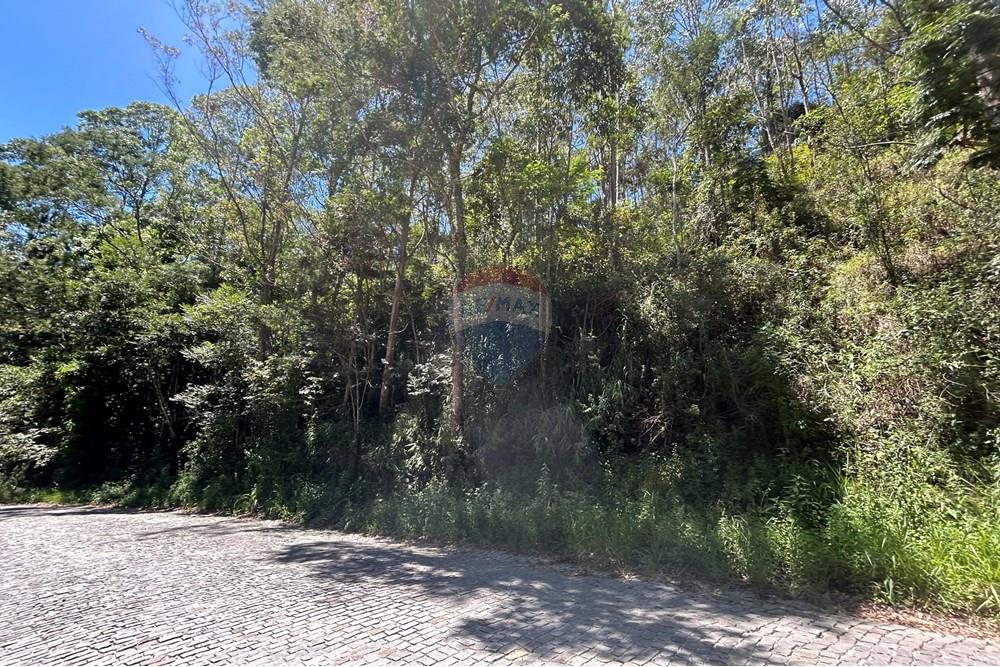 Terreno - Venda - Nova Friburgo , Rio de Janeiro - IMG_6805.JPG - 630551007-320