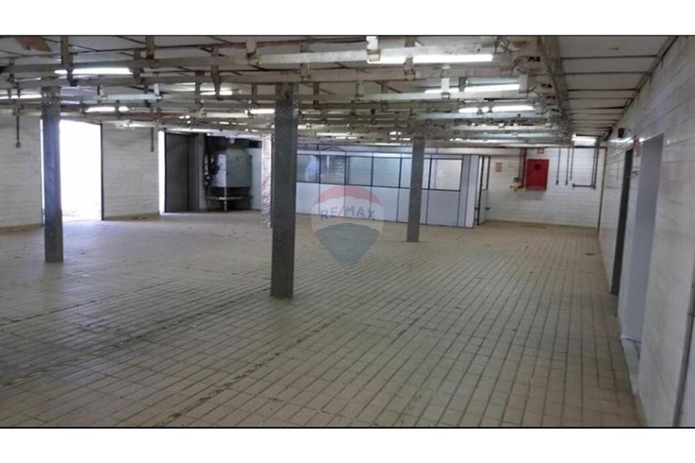 Galpão - Alugar - São Paulo , São Paulo - WhatsApp Image 2025-04-15 at 13.18.23.jpeg - 631531001-131