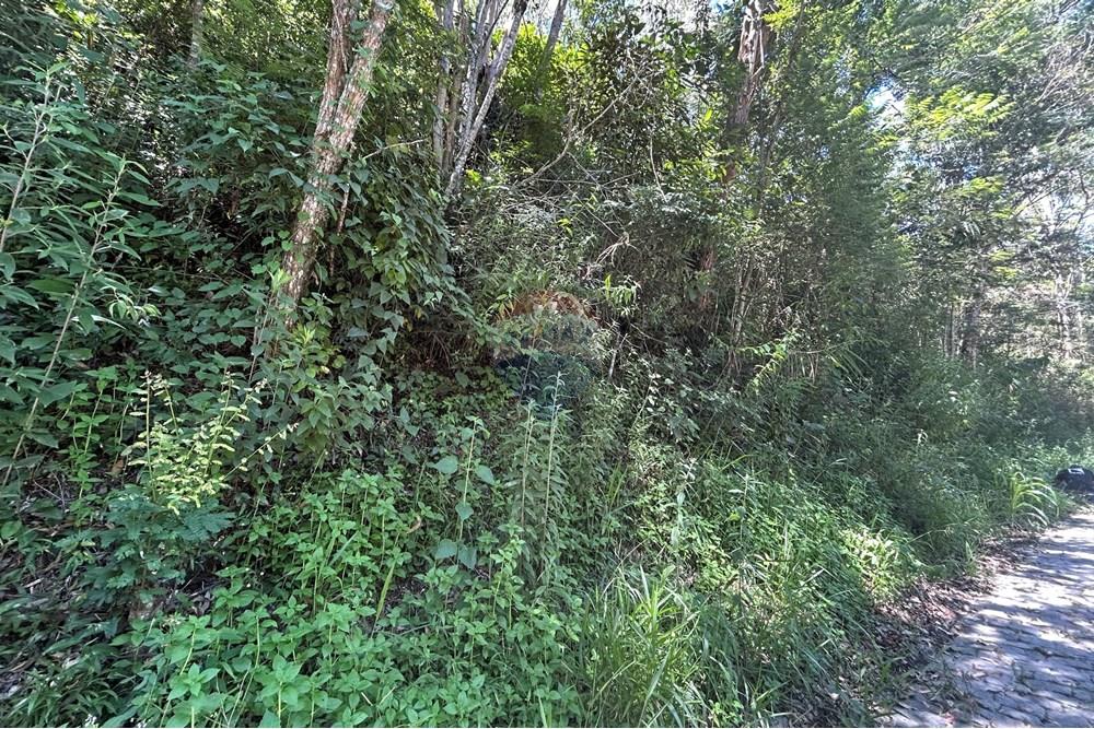 Terreno - Venda - Nova Friburgo , Rio de Janeiro - IMG_6786.JPG - 630551007-320