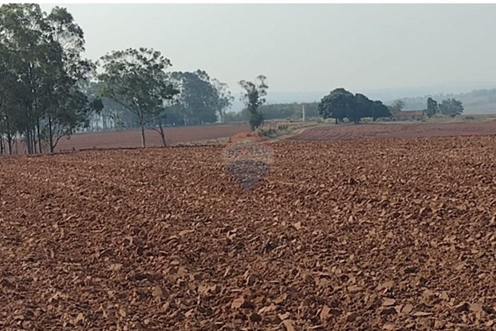 Chácara / Sítio / Fazenda - Venda - Tupã , São Paulo - WhatsApp Image 2024-10-18 at 20.43.09.jpeg - 630541038-17