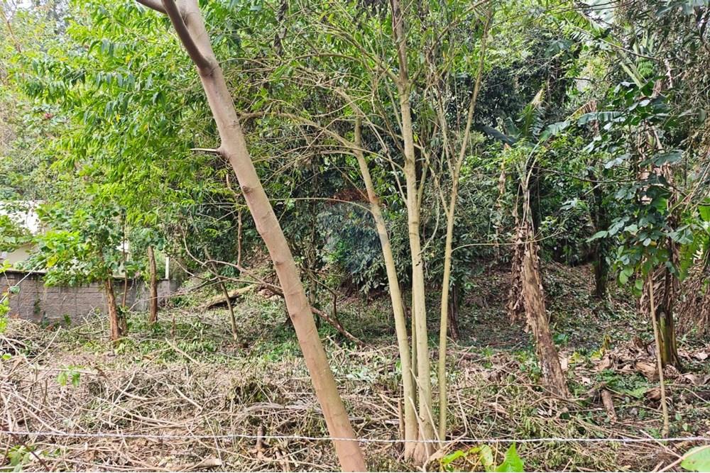 Terreno - Venda - São Sebastião , São Paulo - Imagem do WhatsApp de 2025-09-07 à(s) 16.28.03_6d1265fa.jpg - 631461059-26