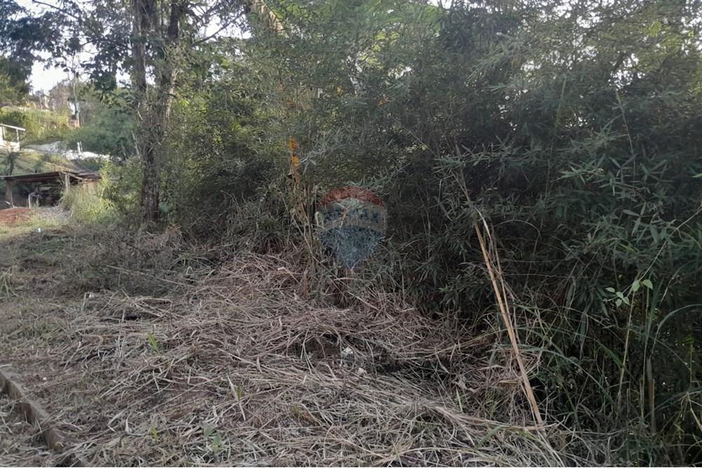 Terreno - Venda - Bom Jardim , Rio de Janeiro - WhatsApp Image 2025-08-21 at 10.21.31.jpeg - 630171008-25