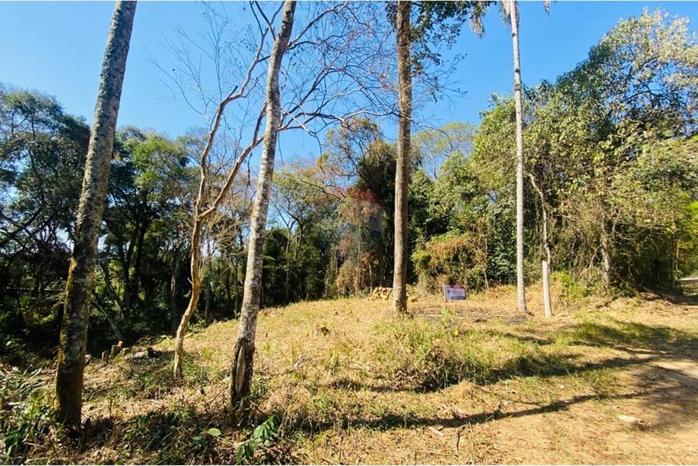 Terreno - Venda - Mairiporã , São Paulo - WhatsApp Image 2025-09-05 at 20.02.31.jpeg - 631361041-38