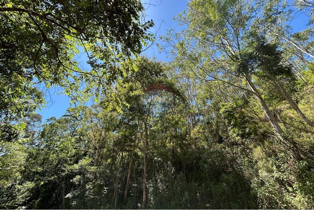 Terreno - Venda - Nova Friburgo , Rio de Janeiro - IMG_6796.JPG - 630551007-319