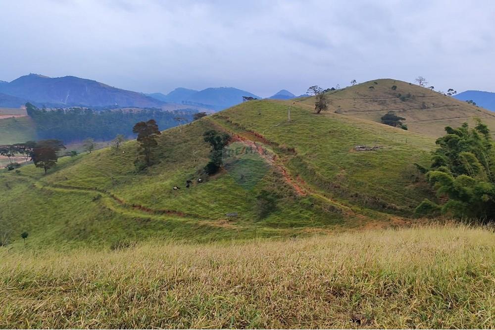 Chácara / Sítio / Fazenda - Venda - Duas Barras , Rio de Janeiro - 88.jpg - 630171001-39