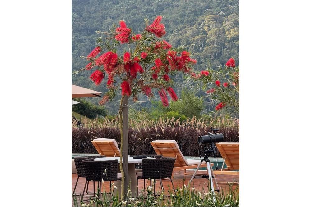 Cabana - Venda - Teresópolis , Rio de Janeiro - 23Quinta das Amoras.jpeg - 631521004-24