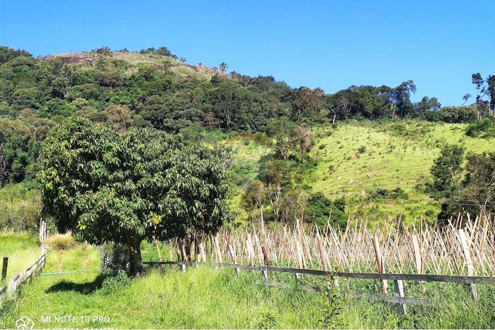 Chácara / Sítio / Fazenda - Venda - Toledo , Minas Gerais - WhatsApp Image 2025-02-28 at 19.58.04.jpeg - 630251077-56