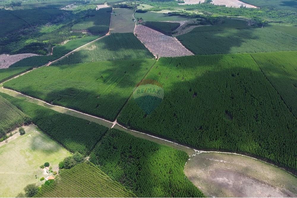 Chácara / Sítio / Fazenda - Venda - Bofete , São Paulo - 1-DJI_0262.jpg - 630481027-104