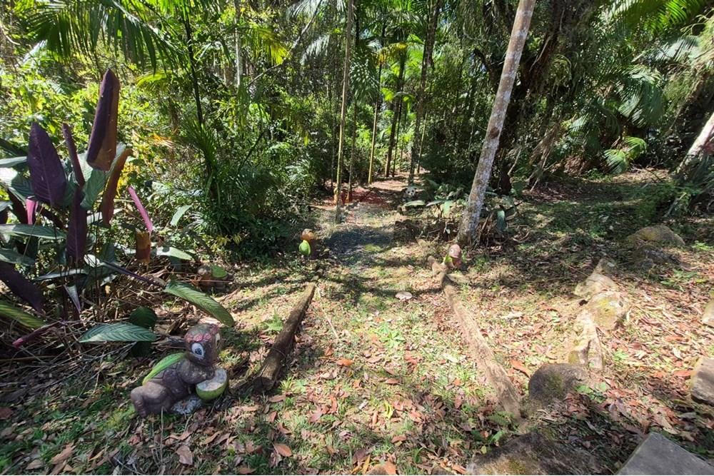 Chácara / Sítio / Fazenda - Venda - Ibiúna , São Paulo - 52.jpeg - 631331004-49