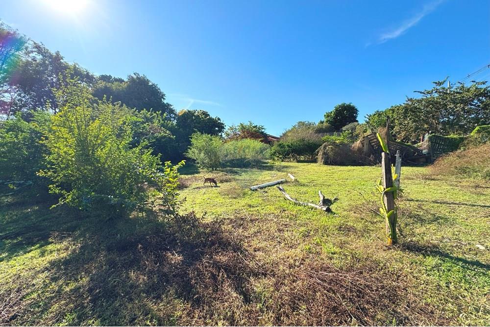 Chácara / Sítio / Fazenda - Venda - Araçatuba , São Paulo - 20250604_124221000_iOS.jpg - 630541038-46