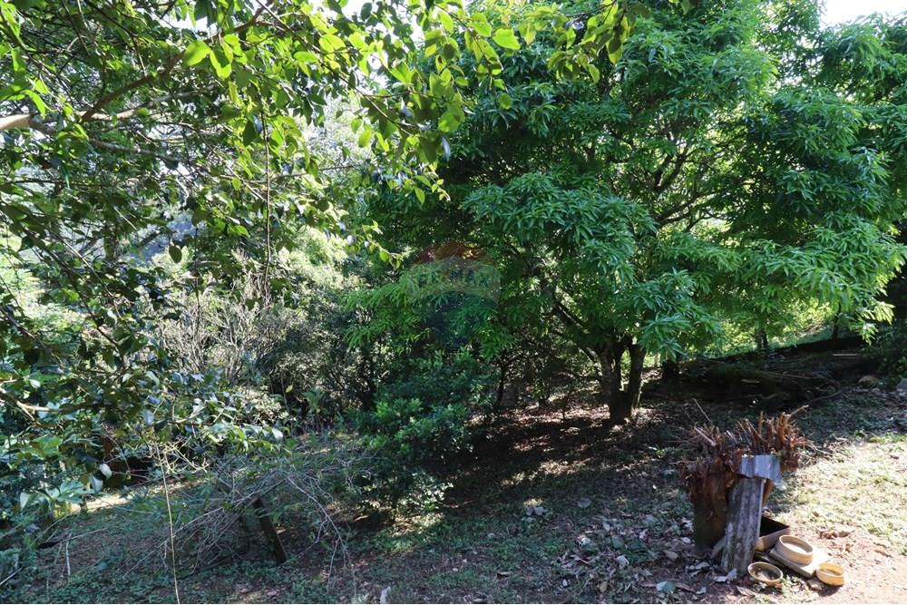 Chácara / Sítio / Fazenda - Venda - Mairiporã , São Paulo - 75.JPG - 631361005-130