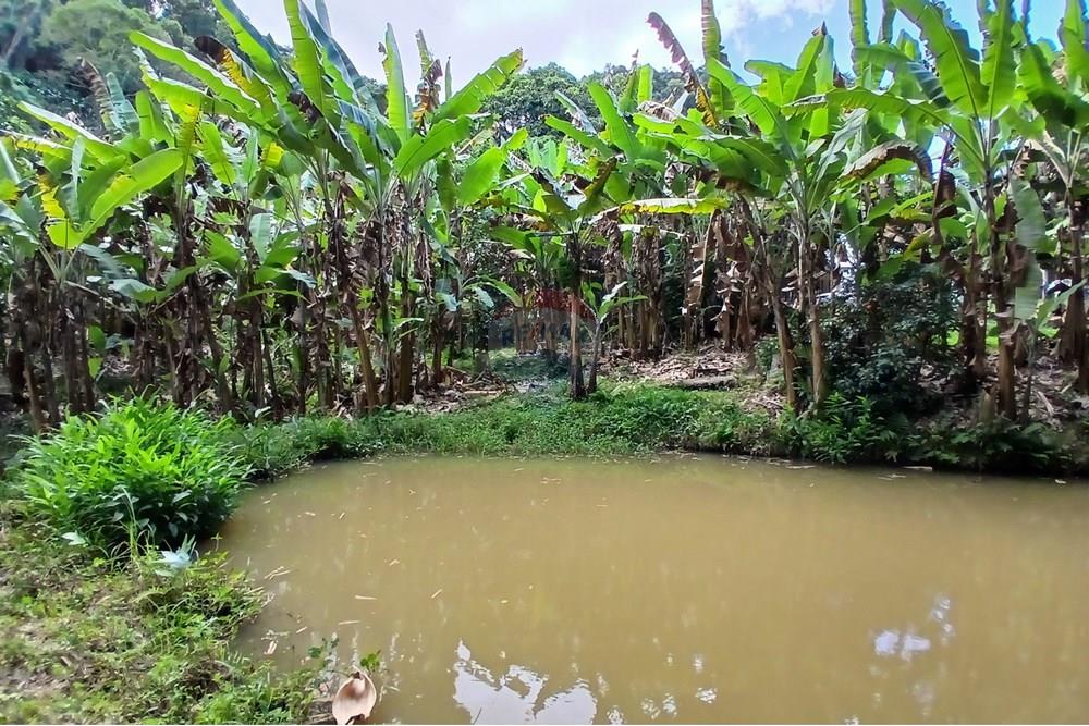 Chácara / Sítio / Fazenda - Venda - Sumidouro , Rio de Janeiro - 20250614_112730.jpg - 630551084-18