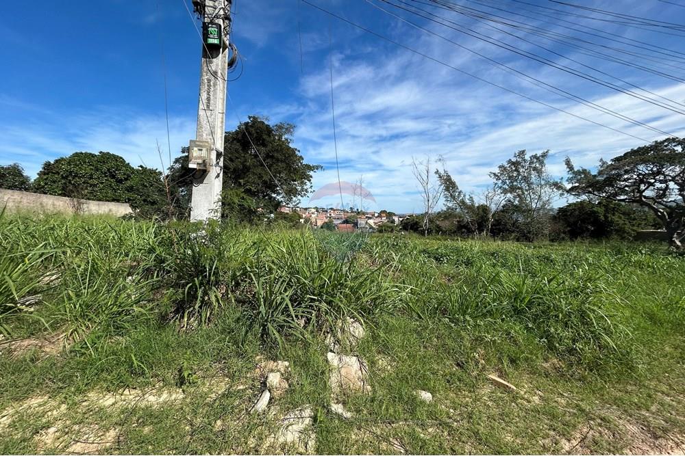 Terreno - Venda - São Pedro da Aldeia , Rio de Janeiro - IMG_4469.jpg - 630361031-23