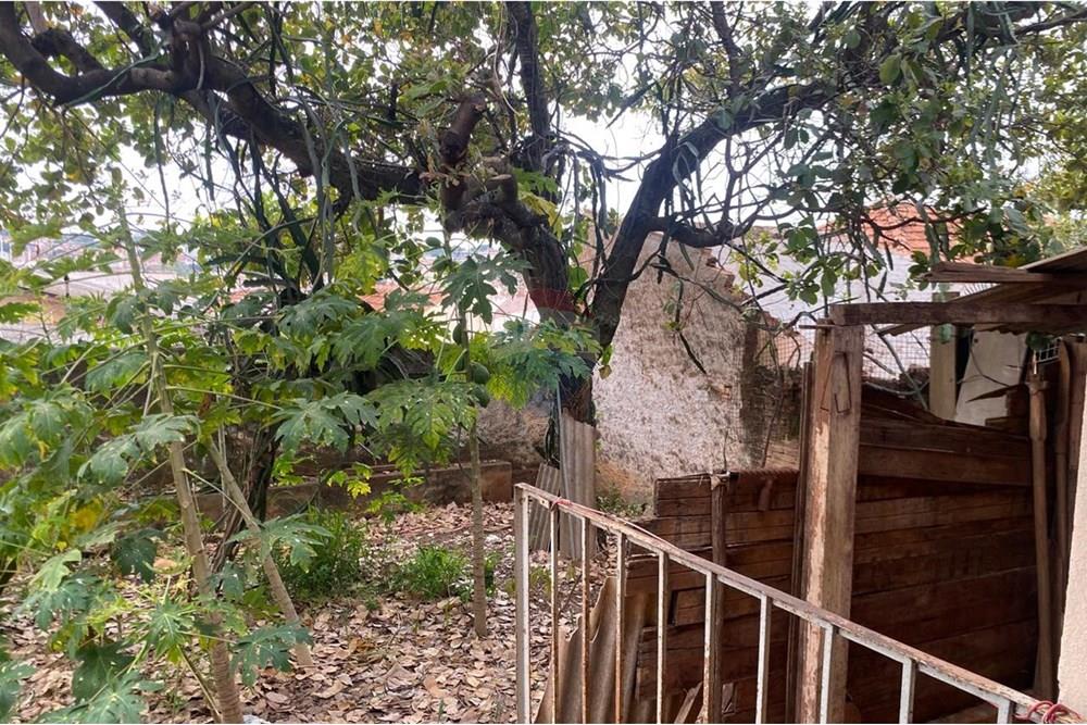 Terreno - Venda - Lins , São Paulo - WhatsApp Image 2025-08-14 at 11.34.21 (1).jpeg - 631011037-42