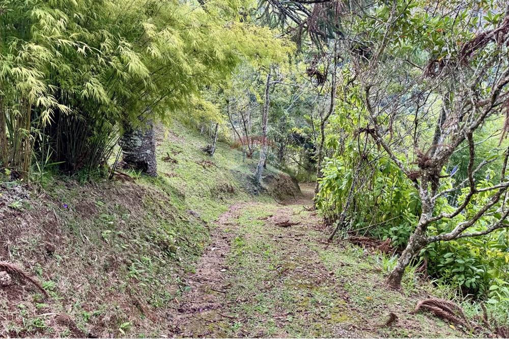 Chácara / Sítio / Fazenda - Venda - Nova Friburgo , Rio de Janeiro - IMG_7602 (1).jpg - 630551037-31