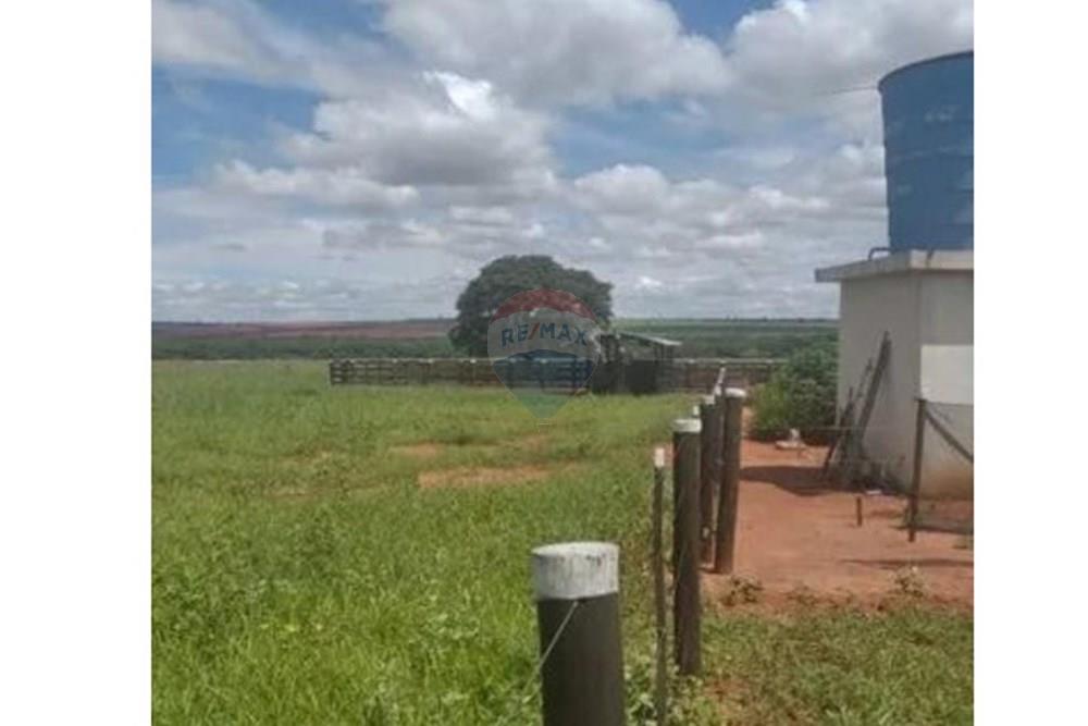 Chácara / Sítio / Fazenda - Venda - Junqueirópolis , São Paulo - WhatsApp Image 2024-10-26 at 10.20.02.jpeg - 630541038-36