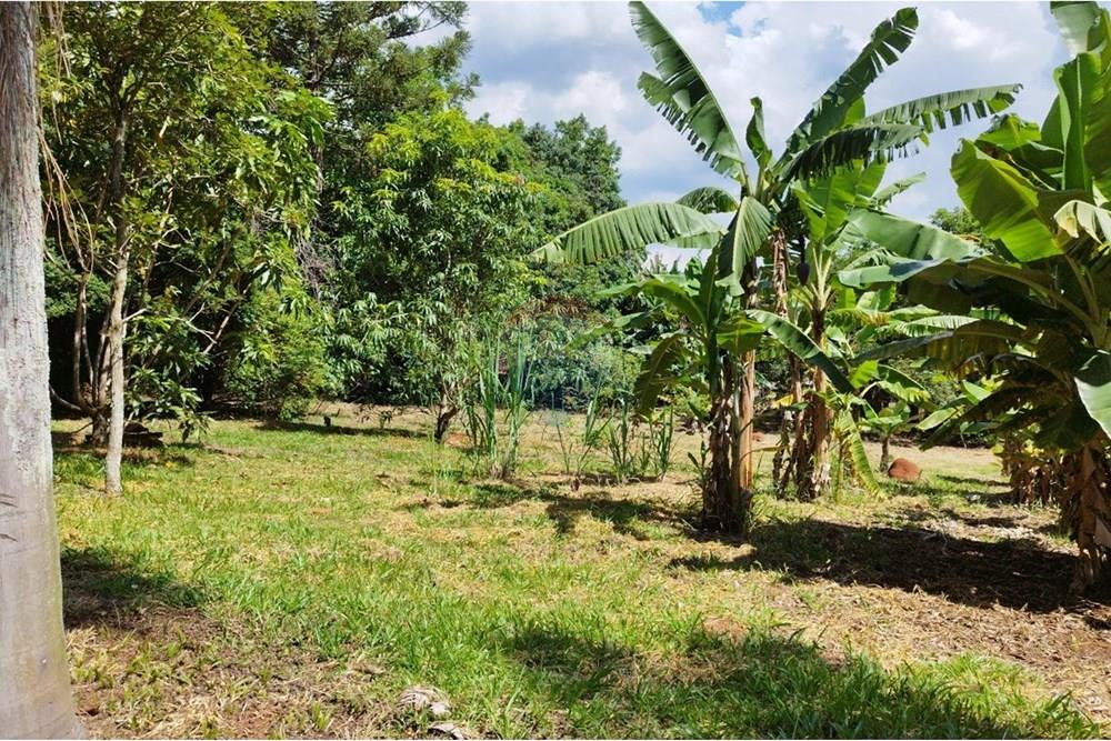 Chácara / Sítio / Fazenda - Venda - Cabreúva , São Paulo - WhatsApp Image 2025-01-07 at 15.47.06.jpeg - 630531012-40