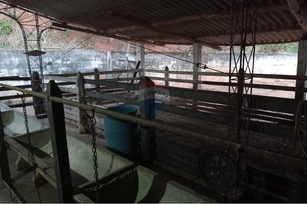 Chácara / Sítio / Fazenda - Venda - Duas Barras , Rio de Janeiro - 16.jpg - 630171001-39