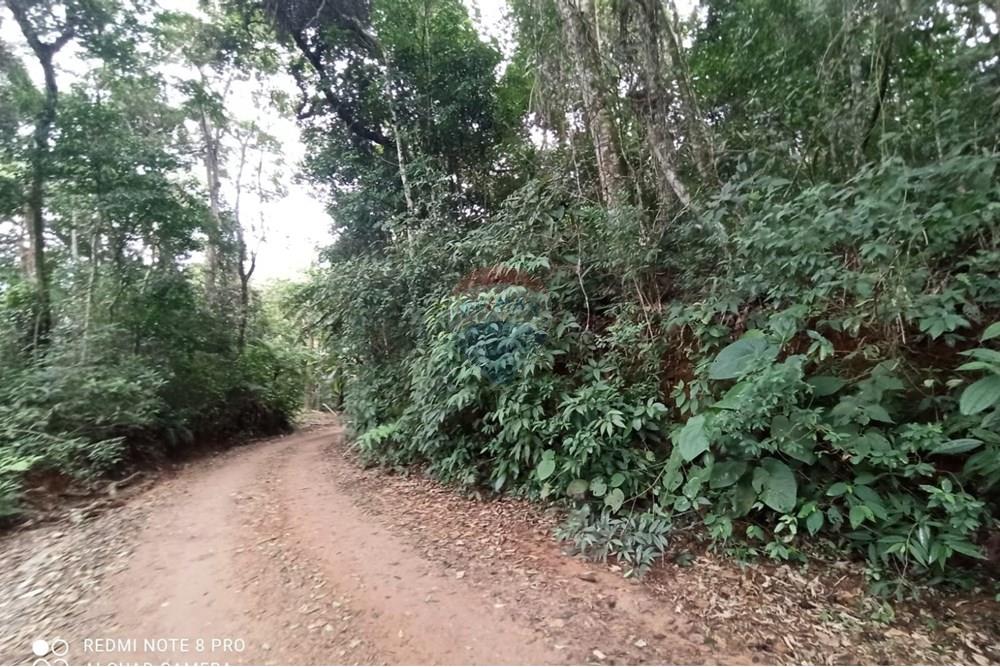 Terreno - Venda - Mairiporã , São Paulo - WhatsApp Image 2025-07-28 at 23.50.15 (3).jpeg - 631361025-37