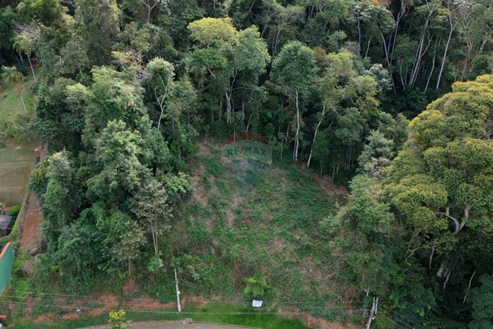 Terreno - Venda - Nova Friburgo , Rio de Janeiro - DJI_20250423111833_0185_D.jpg - 630551049-25