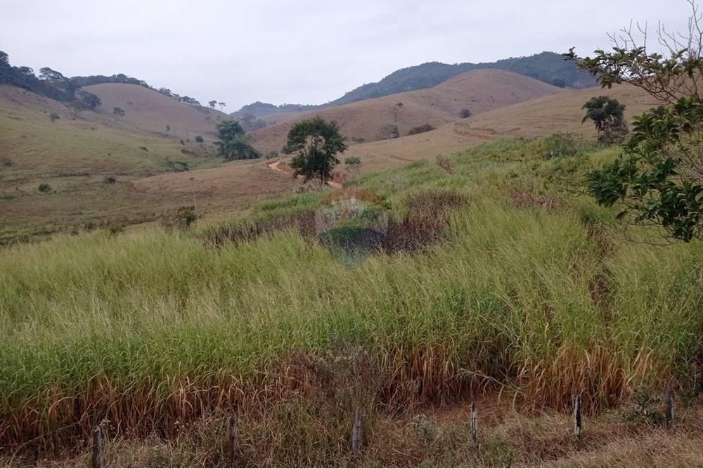 Chácara / Sítio / Fazenda - Venda - Duas Barras , Rio de Janeiro - 10.jpg - 630171001-39