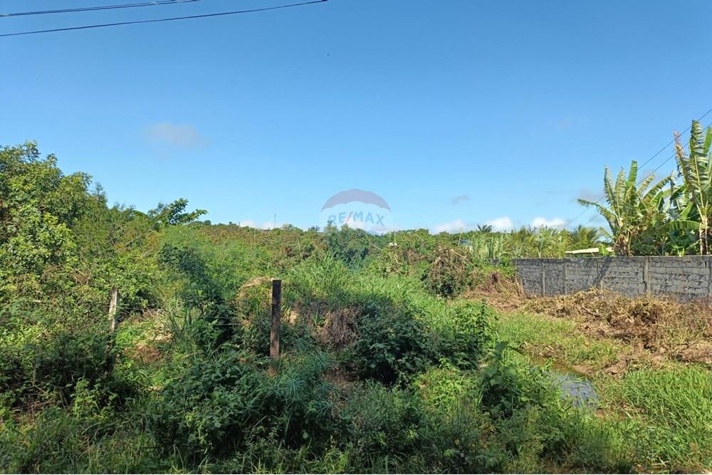 Terreno - Venda - Cabo Frio , Rio de Janeiro - 1000874628.jpg - 630391089-23