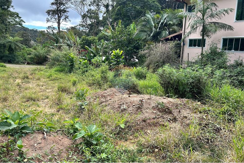 Terreno - Venda - Nova Friburgo , Rio de Janeiro - IMG_6118 (1).jpg - 630551016-151