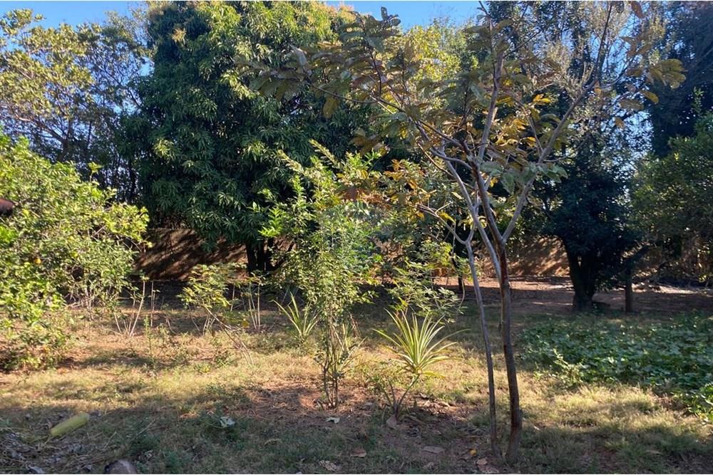 Chácara / Sítio / Fazenda - Venda - Lins , São Paulo - WhatsApp Image 2025-08-12 at 20.28.54 (7).jpeg - 631011037-40