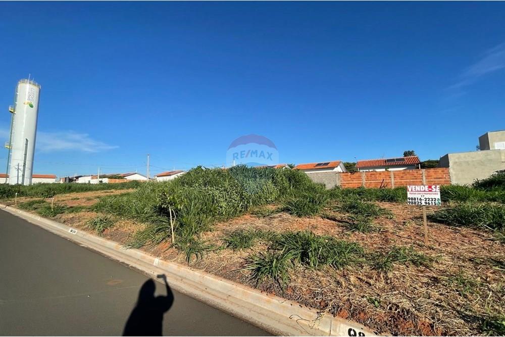 Terreno - Venda - Bady Bassitt , São Paulo - WhatsApp Image 2025-01-14 at 17.34.39 (3).jpeg - 631481002-92